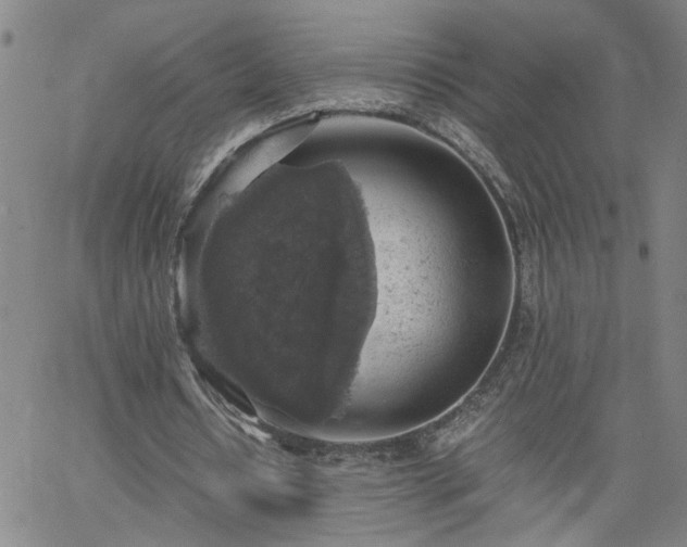 X0000058780434200510031024