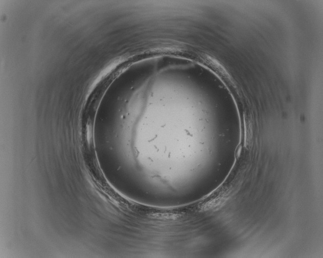 X0000058780435200510031024