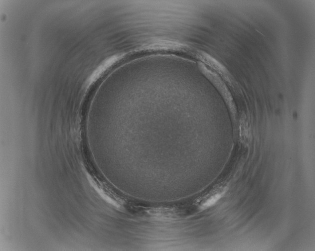 X0000058780436200510031024