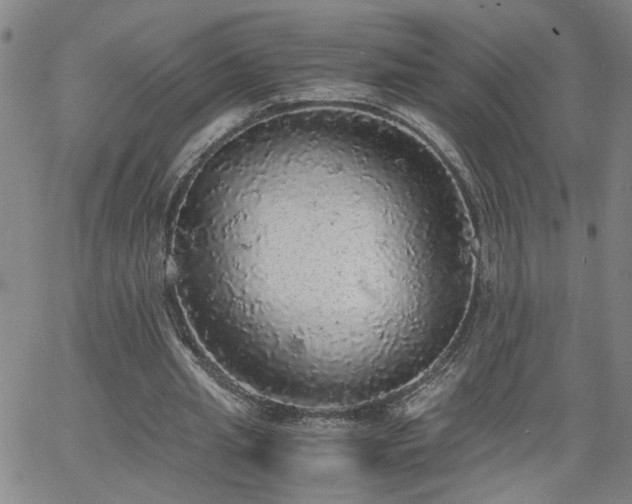 X0000058780437200510031024