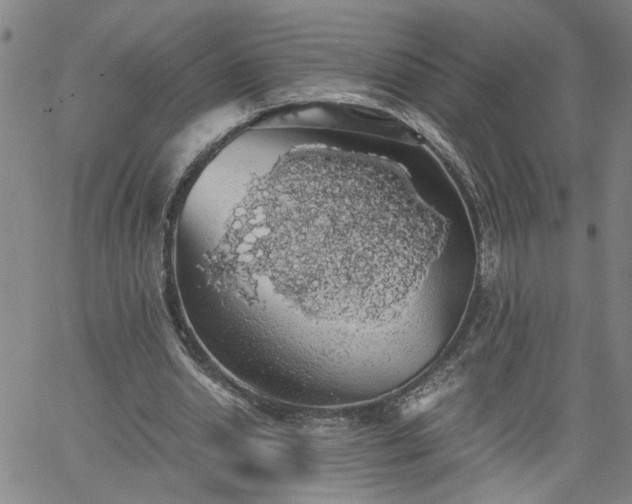 X0000058780438200510031024