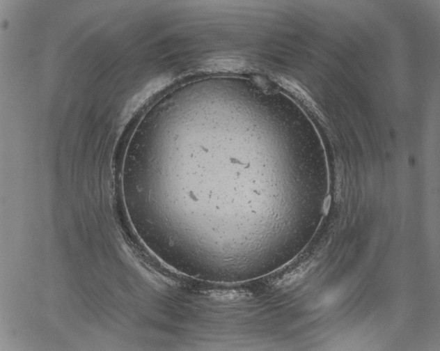 X0000058780439200510031024