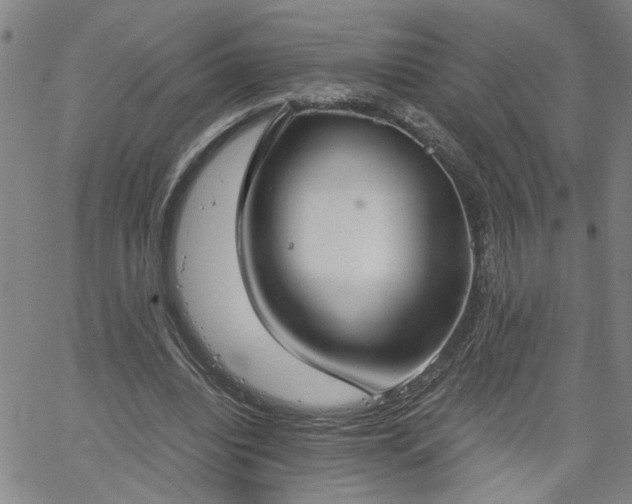 X0000058780440200510031024