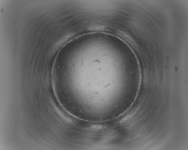 X0000058780441200510031024