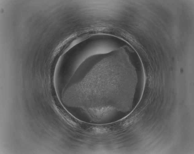 X0000058780442200510031024