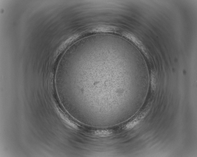 X0000058780445200510031024