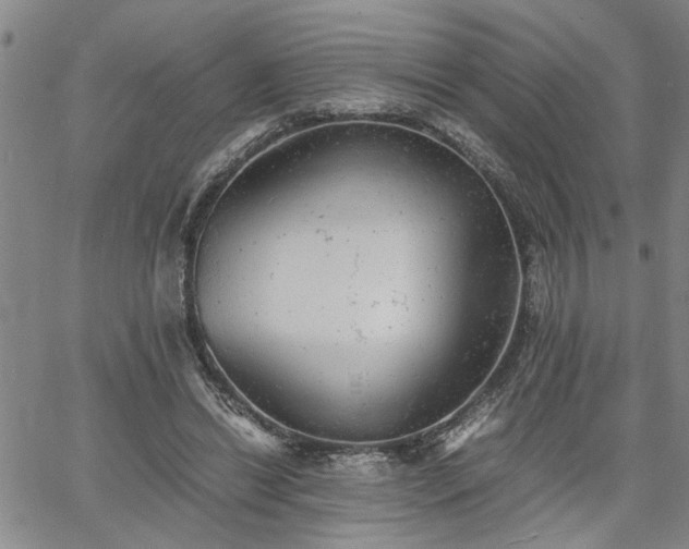 X0000058780446200510031024