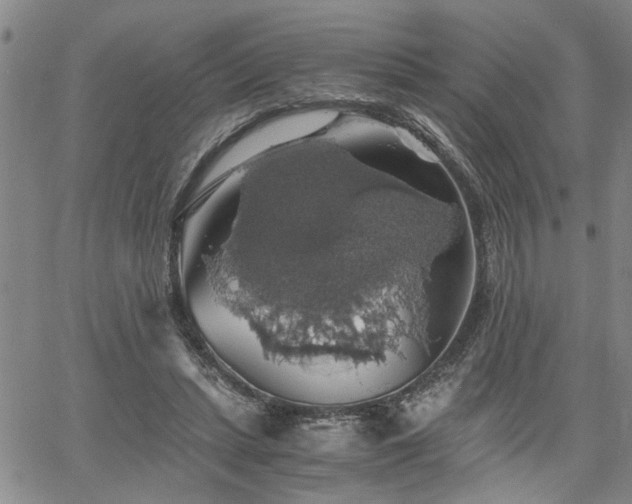 X0000058780447200510031024