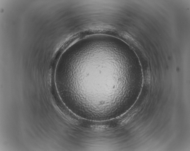 X0000058780448200510031024