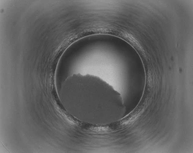 X0000058780449200510031024