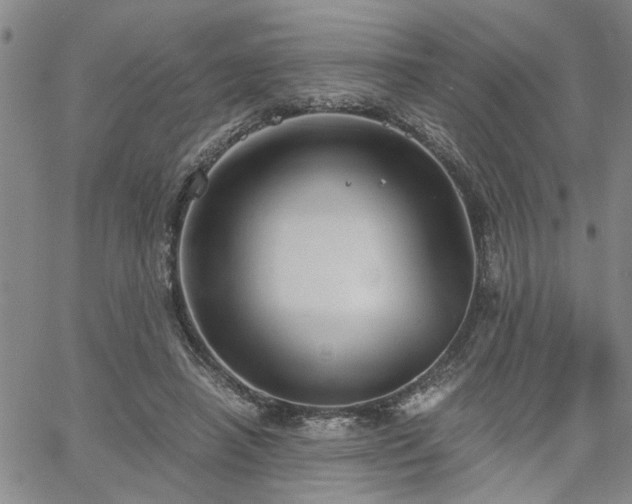 X0000058780450200510031024