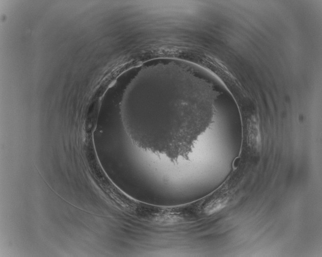 X0000058780451200510031024