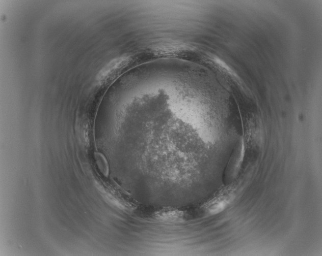 X0000058780452200510031024