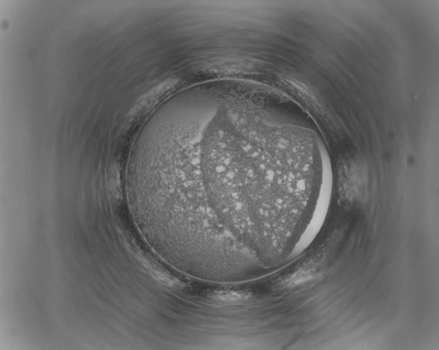 X0000058780453200510031024