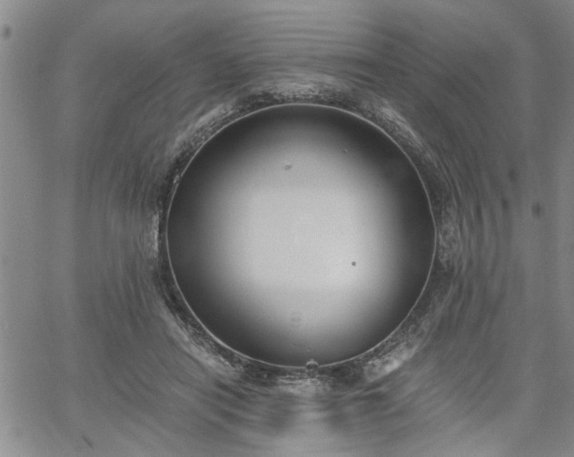 X0000058780454200510031024