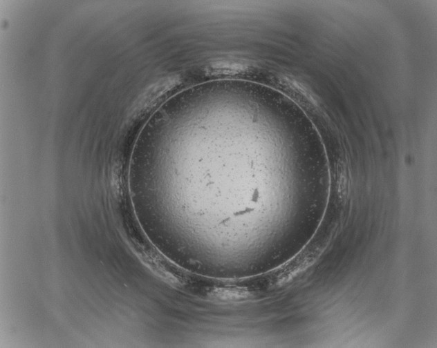 X0000058780455200510031024