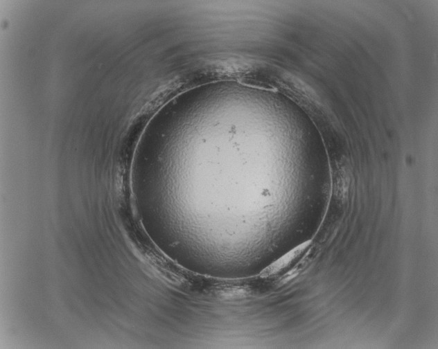 X0000058780456200510031024