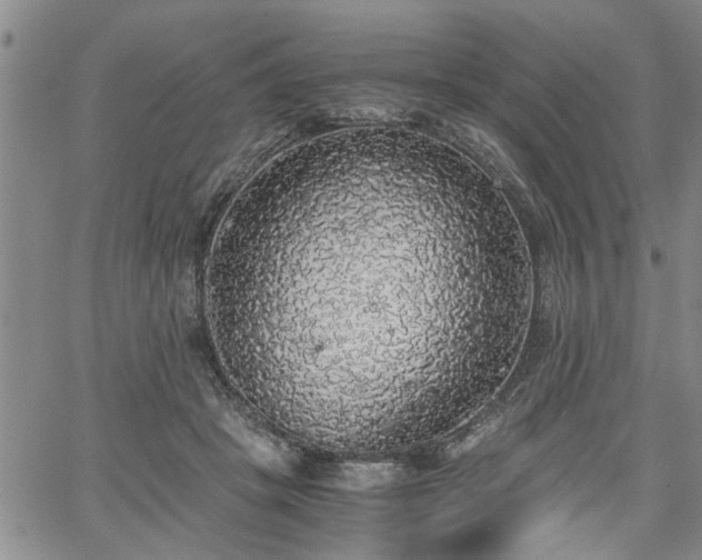 X0000058780457200510031024