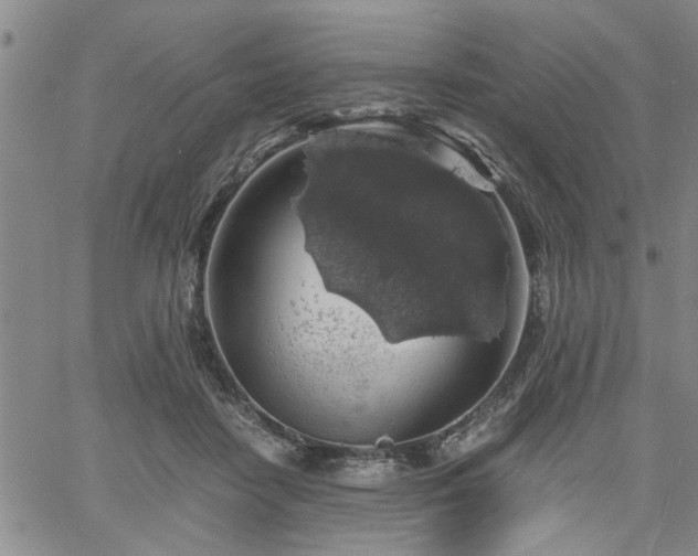 X0000058780458200510031024