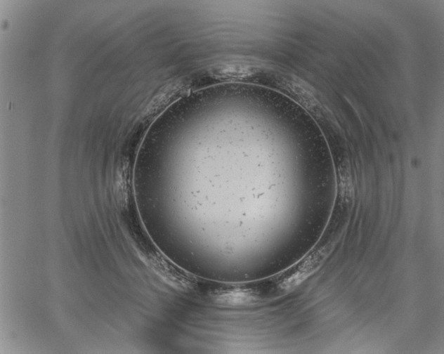 X0000058780460200510031024