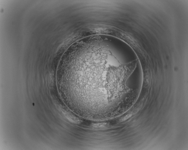 X0000058780461200510031024