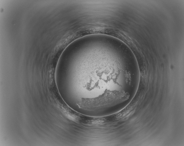 X0000058780462200510031024