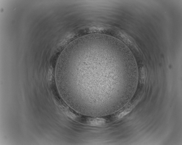 X0000058780463200510031024