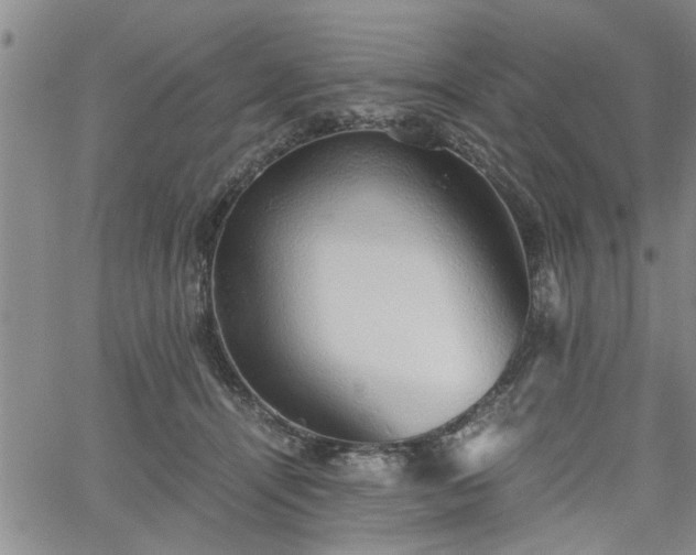 X0000058780464200510031024