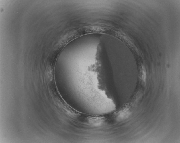 X0000058780465200510031024