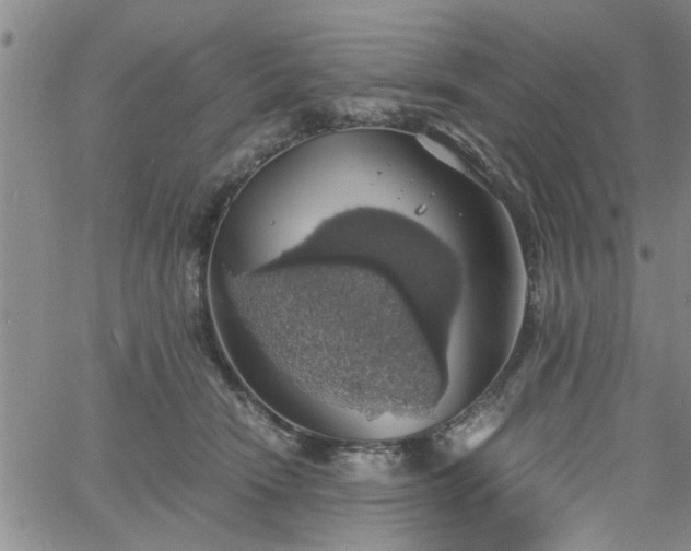 X0000058780466200510031024