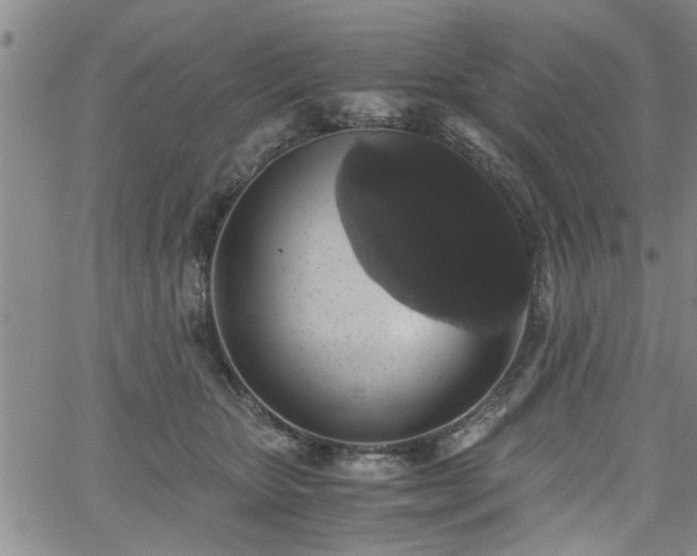 X0000058780467200510031024