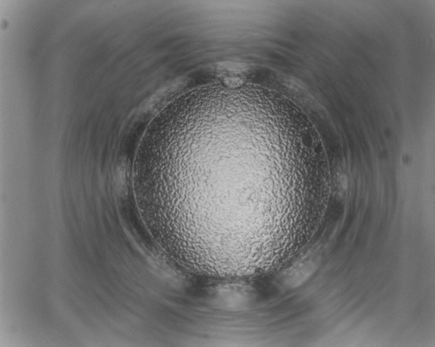 X0000058780468200510031024