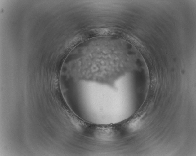 X0000058780469200510031024