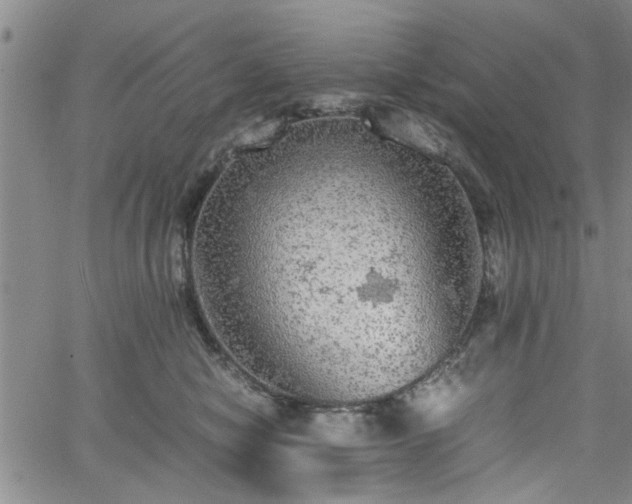 X0000058780470200510031025