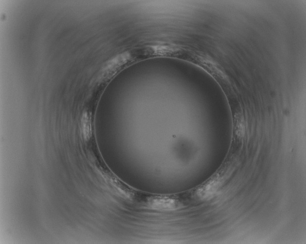 X0000058780471200510031025