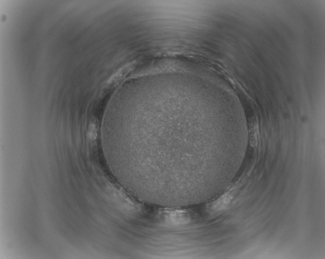 X0000058780472200510031025