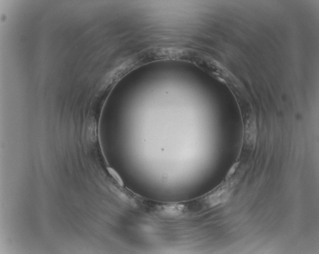 X0000058780474200510031025