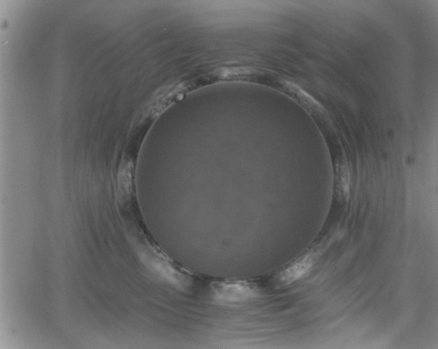 X0000058780475200510031025