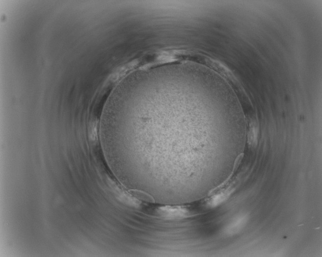 X0000058780477200510031025