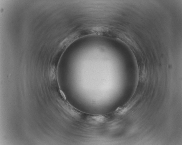 X0000058780478200510031025