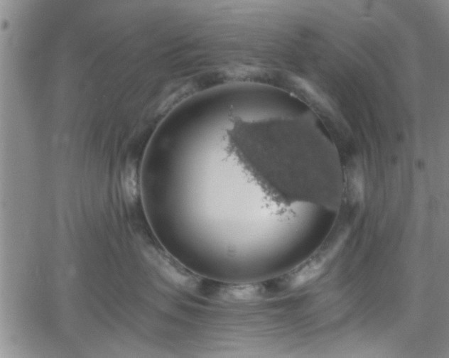 X0000058780479200510031025