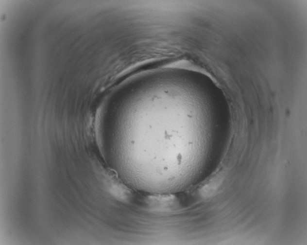 X0000058780480200510031025