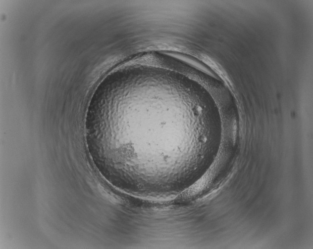 X0000058780481200510031024