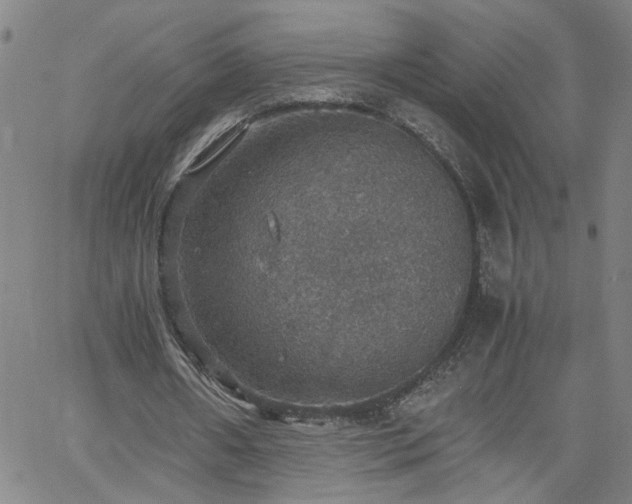 X0000058780482200510031024