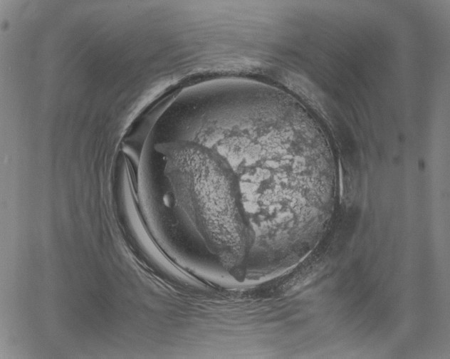 X0000058780483200510031024