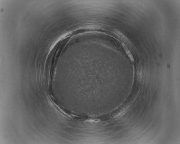 X0000058780484200510031024