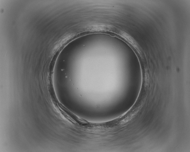 X0000058780485200510031024