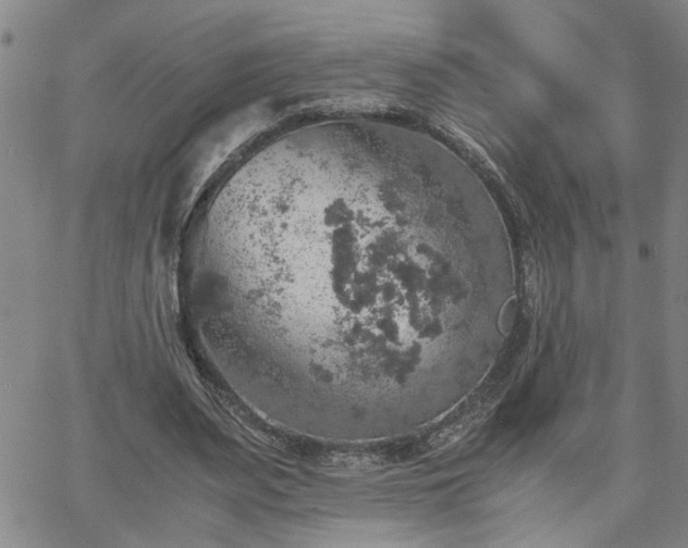 X0000058780487200510031024