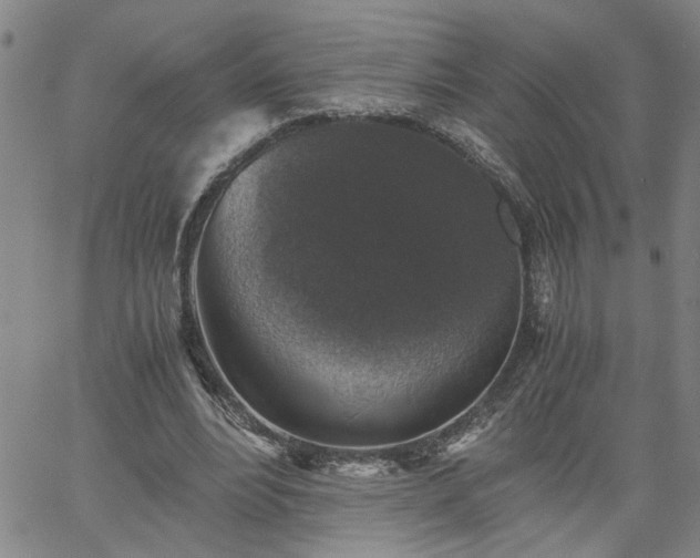 X0000058780488200510031024