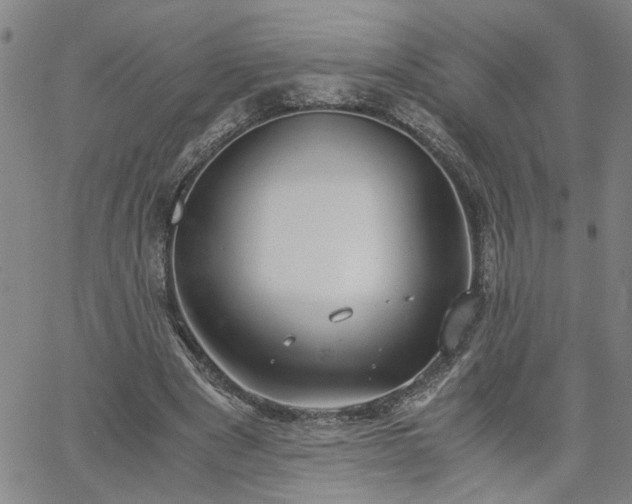 X0000058780489200510031024